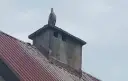 Co oznacza bocian na dachu domu? Symbolika szczęścia i ochrony
