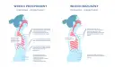 Ilustracja pokazuje dwa typy wdechu: piersiowo-przeponowy i brzuszno-przeponowy. W obu przypadkach kluczowe jest **oddychanie przeponowe**, które angażuje przeponę do głębszego wdechu.