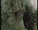Gdzie kręcono film wilcze echa? Odkryj niezwykłe lokalizacje w Bieszczadach