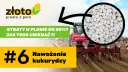 Najlepszy nawóz pod kukurydzę na kiszonkę - uniknij błędów w nawożeniu