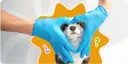 Manos con guantes azules forman un corazón alrededor de un cachorro, simbolizando los cuidados de un cachorro de 2 meses.