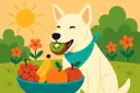 Un perro blanco con un pañuelo azul disfruta de un kiwi. Al lado, un cuenco lleno de frutas y flores naranjas bajo el sol. ¡Los perros pueden comer kiwi!