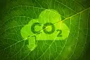 Redukcja emisji CO2: Co musisz wiedzieć o zielonej transformacji?
