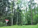 Rezerwat przyrody Krutynia - unikalne atrakcje i dzika przyroda