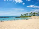 Rajska plaża z palmami i turkusową wodą, idealna na wakacje. Hawaje najpiękniejsze miejsca.