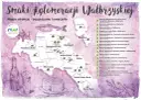 Mapa atrakcji i restauracji w aglomeracji wałbrzyskiej z ilustracjami piwa i sera.