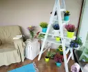 Kwietnik z drabiny: Jak krok po kroku stworzyć modną dekorację DIY?