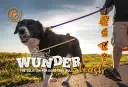 Un perro con coleta pasea feliz con su humano. La correa "Wunderleash" es la solución para perros que tiran.