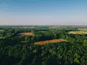 Krajobraz z lotu ptaka: lasy, pola uprawne i błękitne niebo. Idealne miejsce, by dowiedzieć się, jak sprawdzić status działki.