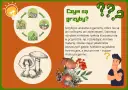 Ilustracja edukacyjna o grzybach dla przedszkola. Pokazuje cykl życia grzybów i ich znaczenie w przyrodzie.