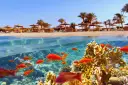 Marsa Alam: Jakie morze? Odkryj podwodny raj Morza Czerwonego