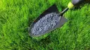 Jaki nawóz przed posianiem trawy, aby uniknąć błędów w pielęgnacji?
