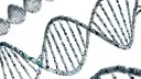 Struktura DNA, symbolizująca dziedziczność. Czy BPD jest dziedziczne? Genetyka może mieć wpływ na predyspozycje.