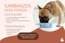Un bulldog francés come de un cuenco azul. Los garbanzos son buenos para perros, aportando fibra y nutrientes.
