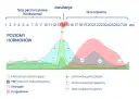 Wykres pokazuje poziomy hormonów w cyklu menstruacyjnym, ze szczytem LH około dnia 14, co wskazuje na owulację. Objawy owulacji są tu przedstawione graficznie.