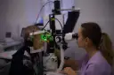 Czy zaćma wtórna wróci po kapsulotomii? Ekspert rozwiewa obawy.