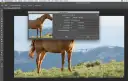 Photoshop DPI/PPI: Zmień rozdzielczość jak ekspert (bez strat!).