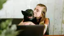 Mujer besa a su perro velcro, un labrador negro, mientras trabaja en su portátil.