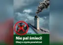 Pali śmieci? Gdzie dzwonić i jak skutecznie walczyć o czyste powietrze