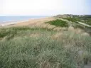 Wydmy porośnięte trawą i zielenią, z widokiem na morze i zabudowania w oddali.