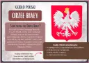 Legenda o orle białym opowiada o Lechu, który zobaczył białego orła na tle zachodzącego słońca. Godło Polski przedstawia białego orła ze złotą koroną.