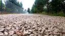 Ile tłucznia na podjazd? Oblicz potrzebną ilość i uniknij błędów