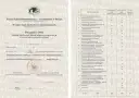 Studia podyplomowe: jaki tytuł? Poznaj prawdę i wartość świadectwa