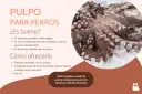 Pulpo para perros: sí, los perros pueden comer pulpo. Es nutritivo y bajo en grasa. Aquí te explicamos cómo ofrecerlo.