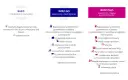 Ile wcześniej na lotnisku Wizz Air? Uniknij stresu i spóźnienia!