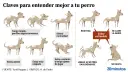 Ilustración muestra el **comportamiento canino** con diferentes posturas y expresiones, indicando estados como miedo, curiosidad, relajación, estrés y ganas de jugar.