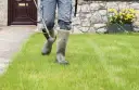 Jaki nawóz na szybki wzrost trawy? Odkryj skuteczne rozwiązania