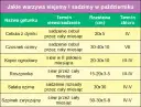 Co sadzić w październiku? Odkryj najlepsze rośliny na ten czas