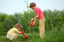 Kiedy sadzimy drzewa owocowe, aby uniknąć problemów z wzrostem?