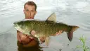 Mężczyzna trzyma w wodzie dużą rybę. To morwa, na jakie ryby można liczyć w tym łowisku?