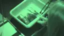 Jak wywołać zdjęcia z kliszy w domu i uniknąć błędów w procesie