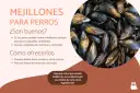 Los perros pueden comer mejillones cocidos y sin concha. Son una fuente de vitaminas y minerales, pero evita los escabechados.