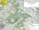 Rowerem przez Puszczę Kozienicką: 350 km tras, atrakcje, porady