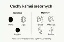 Kamea co to? Grafika przedstawia cechy kamei srebrnych: kamienie (onyks, agat, karneol) i motywy (portret, mitologia, roślina).