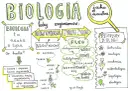 Czy biologia to nauka ścisła? Odkryj złożoność tej dziedziny