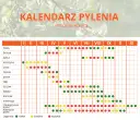 Co pyli w Szczecinie w listopadzie? Alergiku, sprawdź!