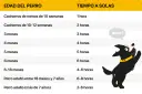 Tabla con edades de perros y tiempo recomendado para dejarlos solos. Guía para como acostumbrar a un perro a quedarse solo.