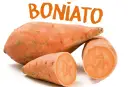 Boniato, un alimento saludable que los perros pueden comer.
