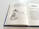 Ilustracja z książki: Piaskowy Wilk, bohater, obserwuje z pagórka dwójkę małych ludzi.