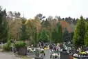 Kto płaci za wycinkę drzew na cmentarzu? Sprawdź, kto ponosi koszty