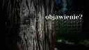 Na pniu drzewa widnieje twarz, jakby objawienie. Obok powtarza się słowo "objawienie?".
