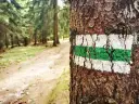 Kolor szlaku w górach: Obalamy mit trudności! Znaczenie PTTK