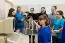 Poliklinika UWM Olsztyn: Całodobowa pomoc, gdy liczy się każda chwila