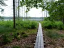 Rezerwat przyrody Kurze Grzędy – tajemnice unikalnej bioróżnorodności