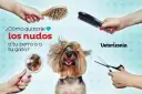¿Cómo quitarle los nudos a tu perro o gato? Cepillos, tijeras y un espejo para ayudarte a desenredar el pelo.
