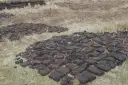 Co to jest brykiet torfowy i dlaczego warto go używać jako paliwo?